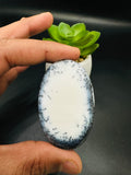 Dendritic Opal Cabochon • Code D23- D25 • AAA Quality • Natural Dendritic Opal Cabs • Dendritic Opal Pendant • Origin Turkey