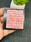 Queen Conch Shell Round Cabs • 6mm Size • Pack of 4 Pcs • AAA Quality •
