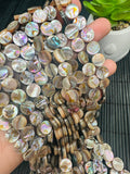 Abalone Shell Coin Beads • 10 mm Size • 40 cm length • AAA Quality • Natural Abalone Shell • Origin Australia