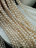 Freshwater Pearl Potato Beads 3x3.5 mm Size - Natural White Freshwater Pearl Rice Beads - AAA Grade