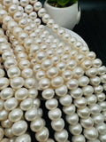 Freshwater Pearl Roundel 11-12 mm Size-  Pearl Roundel Beads - AAA Grade - Length 40cm