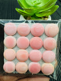 Queen Conch Shell Round Cabs • 12 mm Size • Pack of 2 Pcs • AAA Quality •