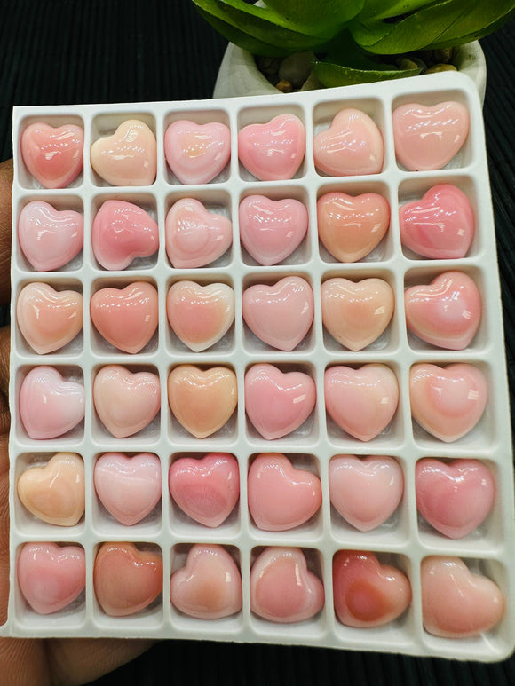 Queen Conch Shell Heart Cabs • 10 mm Size • Pack of 4 Pcs • AAA Quality