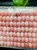 Queen Conch Shell Oval Cabs • 6x8 mm Size • Pack of 5 Pcs • AAA Quality •