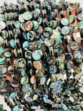 Abalone Shell Coin Beads • 8 mm Size • 40 cm length • AAA Quality • Natural Abalone Shell