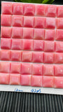 Queen Conch Shell Square Cabs • 12 mm Size • Pack of 2 Pcs • AAA Quality • Flat Back • Queen Conch Cabochons