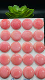 Queen Conch Shell Round Cabs • 16 mm Size • Pack of 2 Pcs • AAA Quality • Flat Back • Queen Conch Cabochons