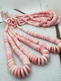Queen Conch 6-14 MM Shell Roundel Beads • Graduate Size • Length 40 cm • AAA Quality • Natural Pink Queen Conch Shell Beads