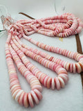 Queen Conch 6-15MM Shell Roundel Beads •  Graduate Size • Length 40 cm • AAA Quality • Natural Pink Queen Conch Shell Beads