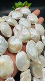 Pearl Flat Baroque beads 24-25x 30-35 mm - AAA Quality -Natural Pearl Baroque- Length 16" - Very Fine Quality