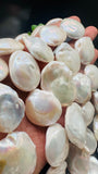 Pearl Flat Baroque beads 24-25x 30-35 mm - AAA Quality -Natural Pearl Baroque- Length 16" - Very Fine Quality