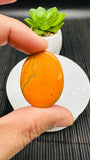 Bumble Bee Cabochon • Code A26- A30 • AAA Quality • Natural Bible Bee Jasper Cabs •  Flat Back Cabochon