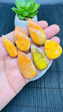 Bumble Bee Cabochon • Code A31-A36 • AAA Quality • Natural Bible Bee Jasper Cabs •  Flat Back Cabochon