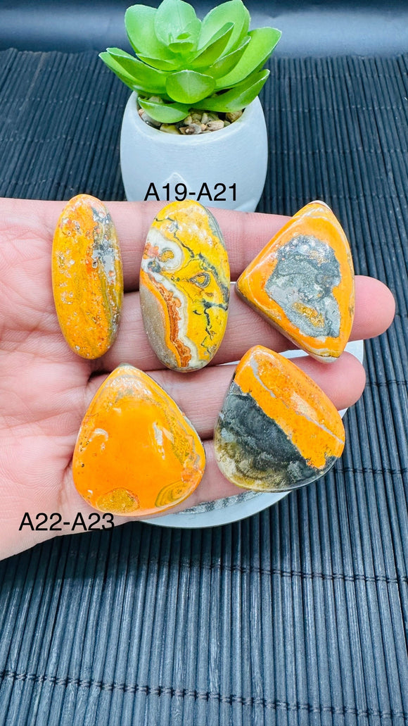 Bumble Bee Cabochon • Code A19-A23 • AAA Quality • Natural Bible Bee Jasper Cabs •  Flat Back Cabochon