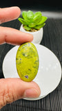 Atlantisite Cabochon • Code A1-A6 • AAA Quality • Natural Atlantisite Cabs •  Flat Back Cabochon