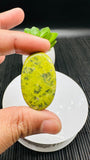 Atlantisite Cabochon • Code A7-A12 • AAA Quality • Natural Atlantisite Cabs • Flat Back Cabochon