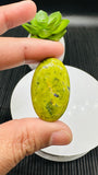Atlantisite Cabochon • Code A13-A18 • AAA Quality • Natural Atlantisite Cabs • Flat Back Cabochon