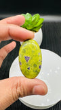 Atlantisite Cabochon • Code A13-A18 • AAA Quality • Natural Atlantisite Cabs • Flat Back Cabochon