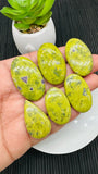 Atlantisite Cabochon • Code A13-A18 • AAA Quality • Natural Atlantisite Cabs •  Flat Back Cabochon