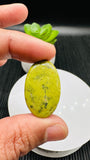 Atlantisite Cabochon • Code A13-A18 • AAA Quality • Natural Atlantisite Cabs • Flat Back Cabochon