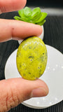 Atlantisite Cabochon • Code A19-A21 • AAA Quality • Natural Atlantisite Cabs •  Flat Back Cabochon