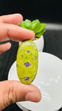 Atlantisite Cabochon • Code A25-A30 • AAA Quality • Natural Atlantisite Cabs •  Flat Back Cabochon