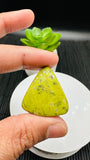 Atlantisite Cabochon • Code A25-A30 • AAA Quality • Natural Atlantisite Cabs • Flat Back Cabochon