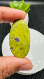 Atlantisite Cabochon • Code A37-A41 • AAA Quality • Natural Atlantisite Cabs • Flat Back Cabochon