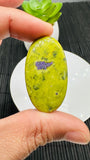 Atlantisite Cabochon • Code A37-A41 • AAA Quality • Natural Atlantisite Cabs • Flat Back Cabochon