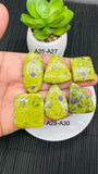 Atlantisite Cabochon • Code A25-A30 • AAA Quality • Natural Atlantisite Cabs •  Flat Back Cabochon