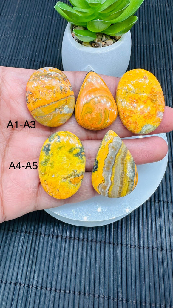 Bumble Bee Cabochon • Code A1-A5 • AAA Quality • Natural Bible Bee Jasper Cabs •  Flat Back Cabochon