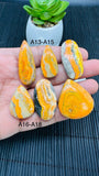 Bumble Bee Cabochon • Code A13-A18 • AAA Quality • Natural Bible Bee Jasper Cabs •  Flat Back Cabochon