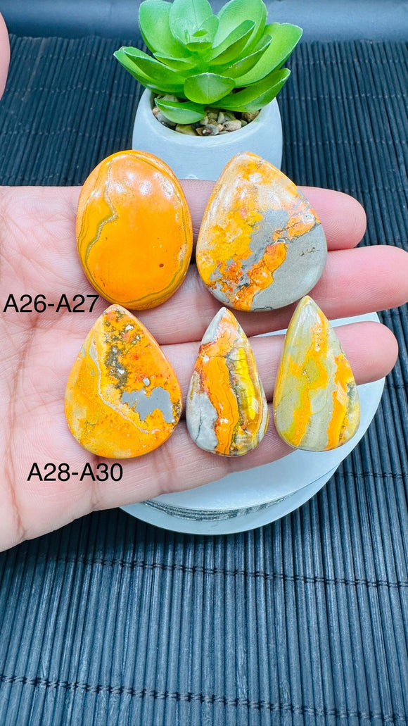 Bumble Bee Cabochon • Code A26- A30 • AAA Quality • Natural Bible Bee Jasper Cabs •  Flat Back Cabochon