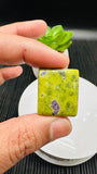 Atlantisite Cabochon • Code A25-A30 • AAA Quality • Natural Atlantisite Cabs •  Flat Back Cabochon