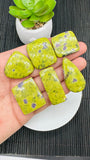 Atlantisite Cabochon • Code A31- A36 • AAA Quality • Natural Atlantisite Cabs • Flat Back Cabochon