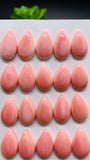 Queen Conch Shell Pear Cabs • 10x20 mm Size • Pack of 2 Pcs • AAA Quality • Flat Back • Queen Conch Cabochons