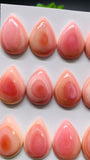 Queen Conch Shell Pear Cabs • 18x25 mm Size • Pack of 2 Pcs • AAA Quality • Flat Back • Queen Conch Cabochons