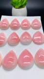 Queen Conch Shell Pear Cabs • 18x25 mm Size • Pack of 1 Pc • Baby Pink Color - AAA Quality • Flat Back • Queen Conch Cabochons