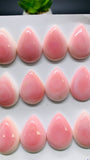 Queen Conch Shell Pear Cabs • 18x25 mm Size • Pack of 1 Pc • Baby Pink Color - AAA Quality • Flat Back • Queen Conch Cabochons