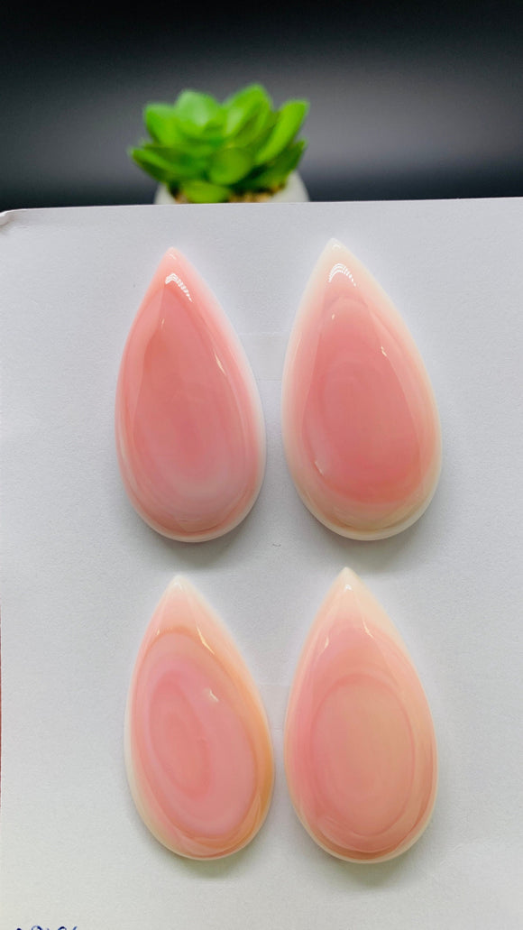 Queen Conch Shell Pear Cabs • 20x40 mm Size • Pack of 1 Pc • AAA Quality • Flat Back • Queen Conch Cabochons