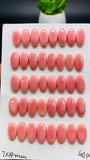 Queen Conch Shell Oval Cabs • 5x10 / 6X12 mm Size • Pack of 4 Pcs • AAA Quality • Flat Back • Queen Conch Cabochons