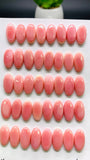 Queen Conch Shell Oval Cabs • 7X15 mm Size • Pack of 4 Pcs • AAA Quality • Flat Back • Queen Conch Cabochons