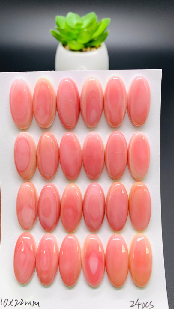 Queen Conch Shell Oval Cabs • 10x22 mm Size • Pack of 2 Pcs • AAA Quality • Flat Back • Queen Conch Cabochons