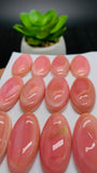 Queen Conch Shell Oval Cabs • 15x30 mm Size • Pack of 1 Pc • AAA Quality • Flat Back • Queen Conch Cabochons