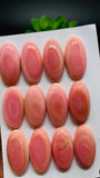 Queen Conch Shell Oval Cabs • 15x30 mm Size • Pack of 1 Pc • AAA Quality • Flat Back • Queen Conch Cabochons