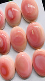 Queen Conch Shell Oval Cabs • 20x30 mm Size • Pack of 1 Pc • AAA Quality • Flat Back • Queen Conch Cabochons