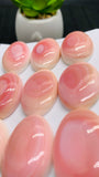 Queen Conch Shell Oval Cabs • 20x30 mm Size • Pack of 1 Pc • AAA Quality • Flat Back • Queen Conch Cabochons