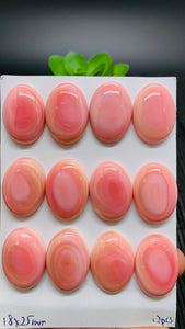 Queen Conch Shell Oval Cabs • 18x25 mm Size • Pack of 1 Pc • AAA Quality • Flat Back • Queen Conch Cabochons