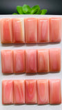 Queen Conch Shell Rectangle Cabs • 12x24 mm Size • Pack of 1 Pc • AAA Quality • Flat Back • Queen Conch Cabochons