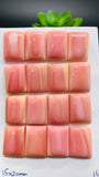 Queen Conch Shell Rectangle Cabs • 15x20 mm Size • Pack of 1 Pc • AAA Quality • Flat Back • Queen Conch Cabochons